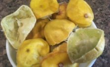 lemon peels uses