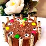 Ice Cream Cake