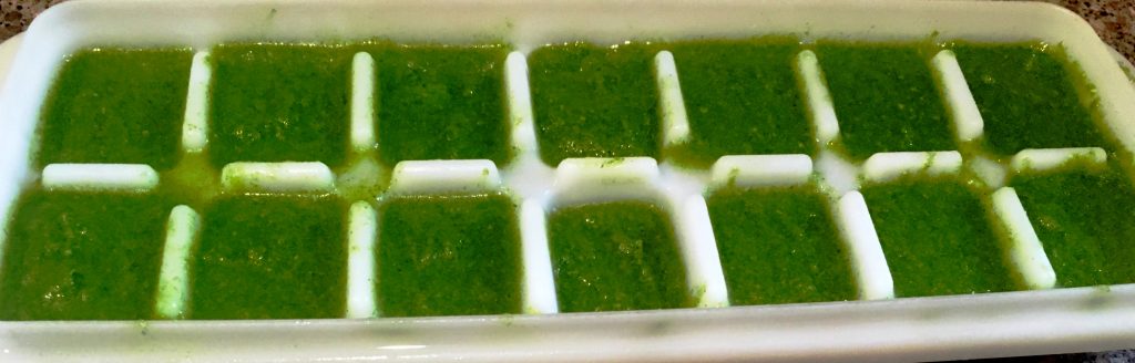 Storing Green Chutney In Freezer